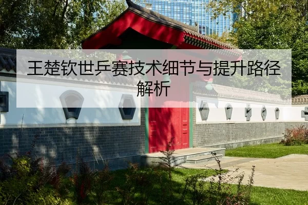 wang-chu-qin-shi-ping-sai-ji-shu-xi-jie-yu-ti-sheng-lu-jing-jie-xi-2-547.jpg
