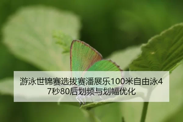 you-yong-shi-jin-sai-xuan-ba-sai-pan-zhan-le-mi-zi-you-yong-miao-hou-hua-pin-yu-hua-fu-you-hua-2-527.jpg